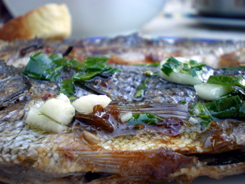 Marinierter Fisch Istrien