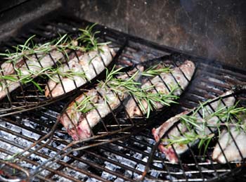 Gegrillter Fisch Istrien